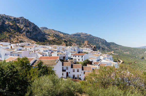 Olive trees surround hilltown of Zuheros in Andalucia Stock photo © backyardproductions