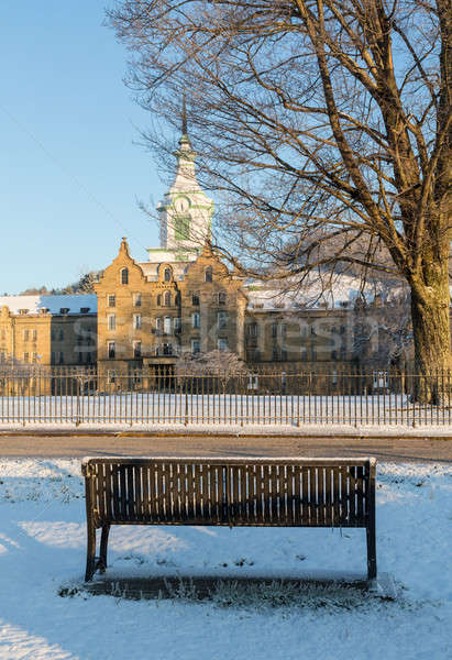 Bench in snow outside Trans-Allegheny Lunatic Asylum Stock photo © backyardproductions