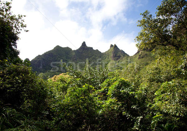 Na Pali Mountains Stock photo © backyardproductions
