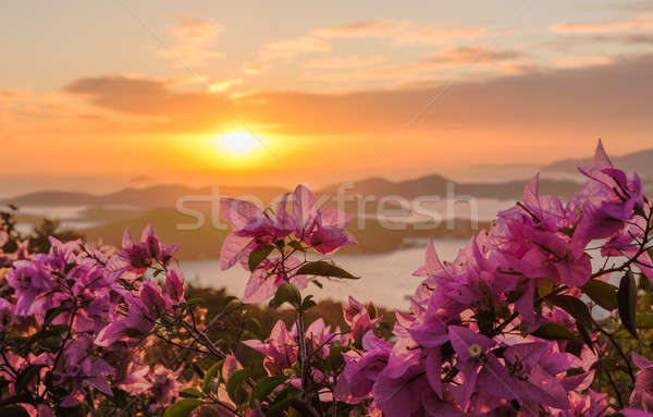 Sunset over Charlotte Amalie St Thomas Stock photo © backyardproductions