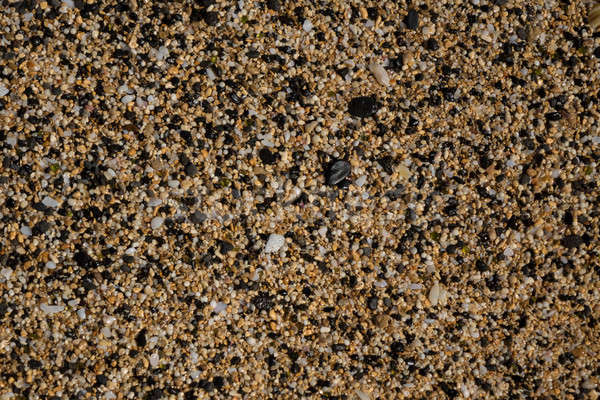 Foto stock: Abstrato · ver · praia · macro · pedras