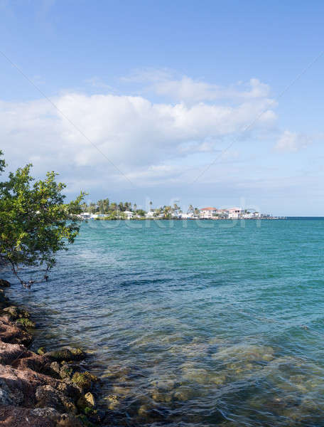 Florida Keys luxury homes Stock photo © backyardproductions