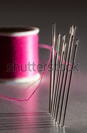 Row of embroidery sewing needles Stock photo © backyardproductions