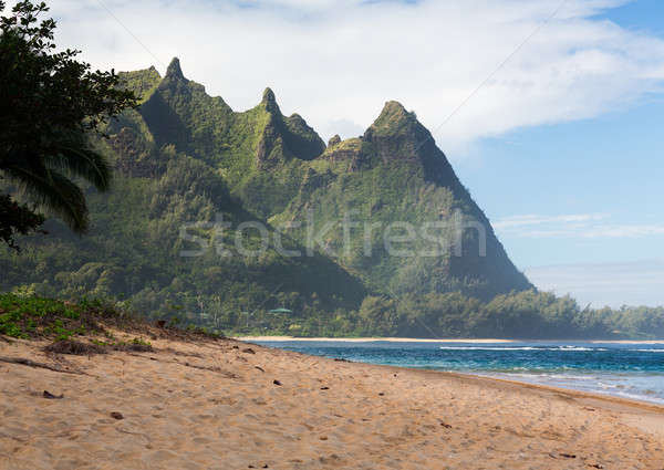 Plaży na północ brzegu widoku w dół piasku Zdjęcia stock © backyardproductions