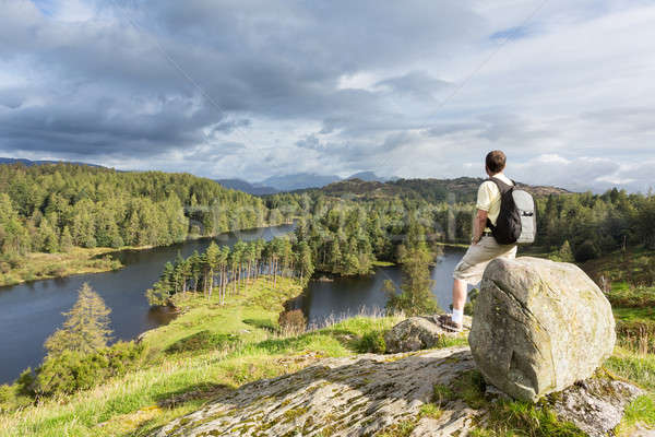 View over Tarn Hows in English Lake District Stock photo © backyardproductions