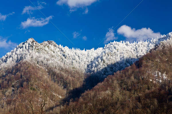 Chimney Tops in snow in smokies Stock photo © backyardproductions