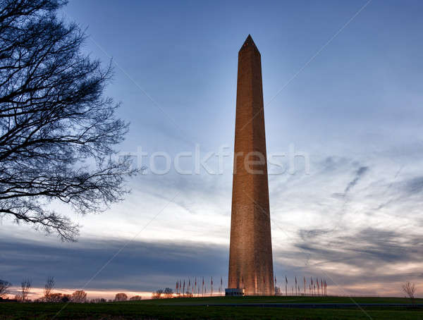 Washington Monument schemering zon toren Stockfoto © backyardproductions