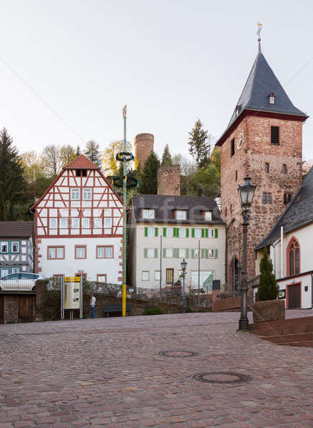 Town of Hirschhorn Hesse Germany Stock photo © backyardproductions