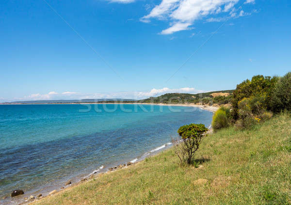 Beach and coastline at Anzac cove Gallipoli Stock photo © backyardproductions