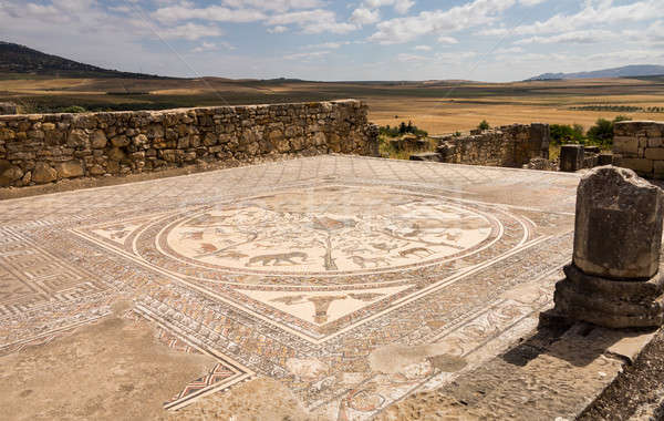 Ruins at Volubilis Morocco Stock photo © backyardproductions