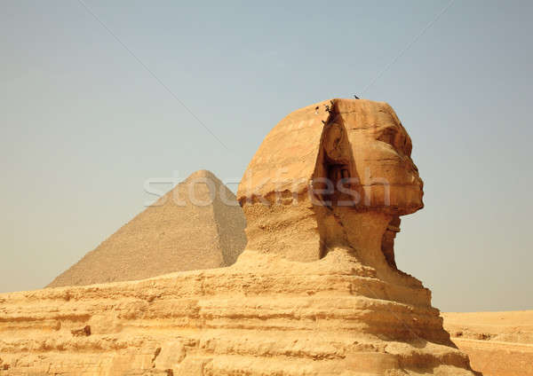 Pirâmides de Gizé Egito ver giza Cairo céu Foto stock © backyardproductions