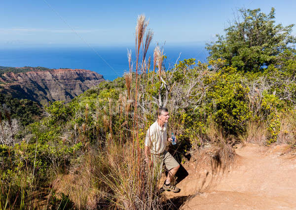 Awaawapuhi trail end on cliff above Na Pali coast on Kauai Stock photo © backyardproductions