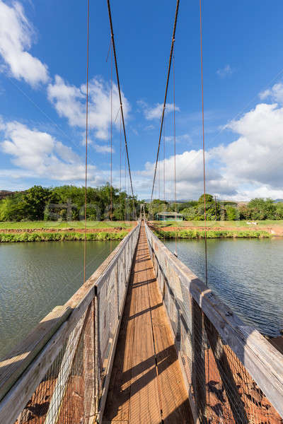 View down the famous swinging bridge in Hanapepe Kauai Stock photo © backyardproductions
