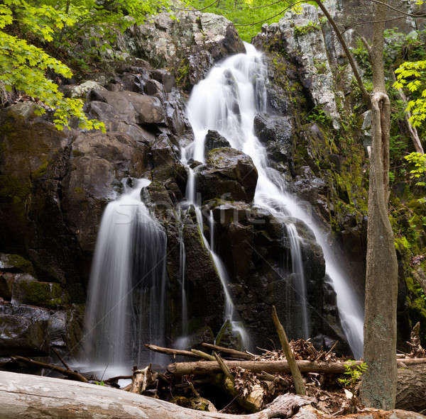 Overall Run waterfall Stock photo © backyardproductions