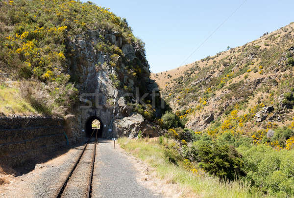 Eisenbahn Länge up New Zealand touristischen Tunnel Stock foto © backyardproductions