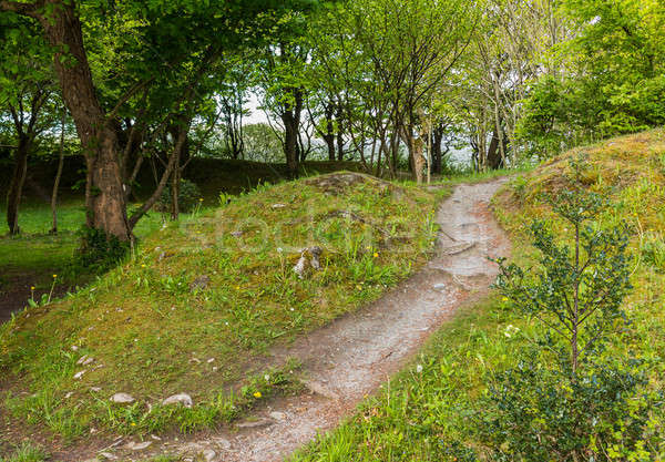 Hiking trail going into bright woods Stock photo © backyardproductions