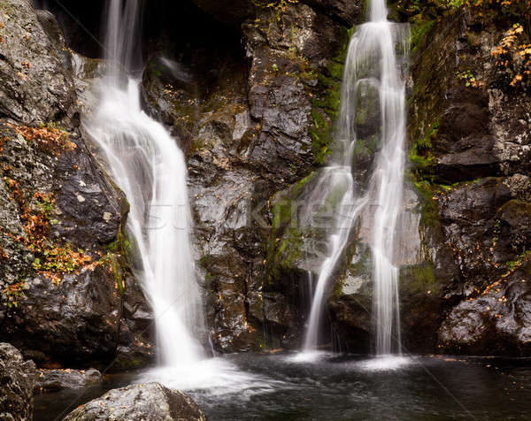 Bash Bish falls in Berkshires Stock photo © backyardproductions