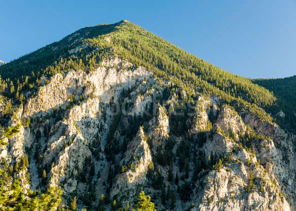 Chalk cliffs of Mt Princeton Colorado Stock photo © backyardproductions