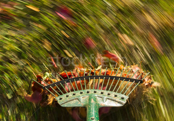 Motion blur on green lawn rake leaves Stock photo © backyardproductions