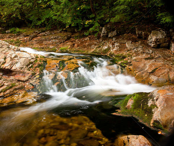 Water rushing down river Stock photo © backyardproductions