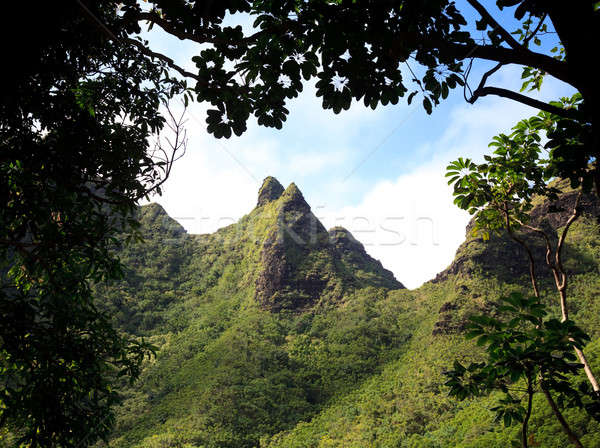 Na Pali Mountains Stock photo © backyardproductions