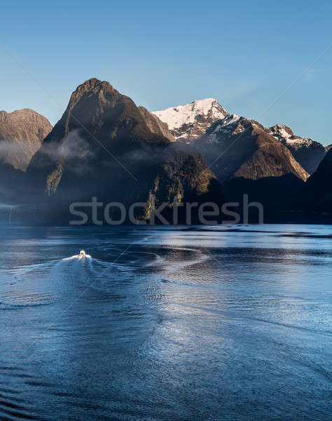 Fjord of Milford Sound in New Zealand Stock photo © backyardproductions