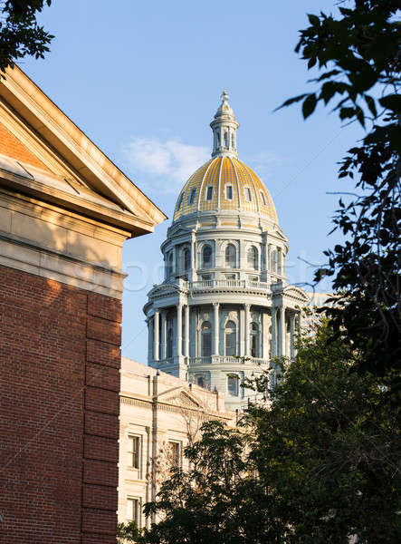 Gold covered dome of State Capitol Denver Stock photo © backyardproductions