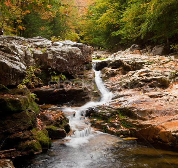 Water rushing down river Stock photo © backyardproductions