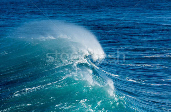 Frozen motion of large wave at sea Stock photo © backyardproductions