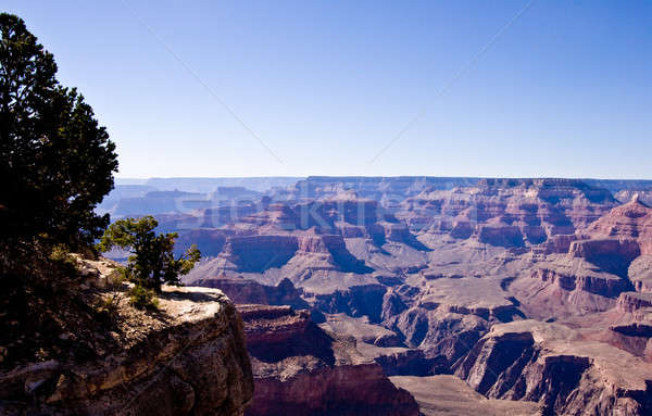 Grand Canyon rock formations Stock photo © backyardproductions