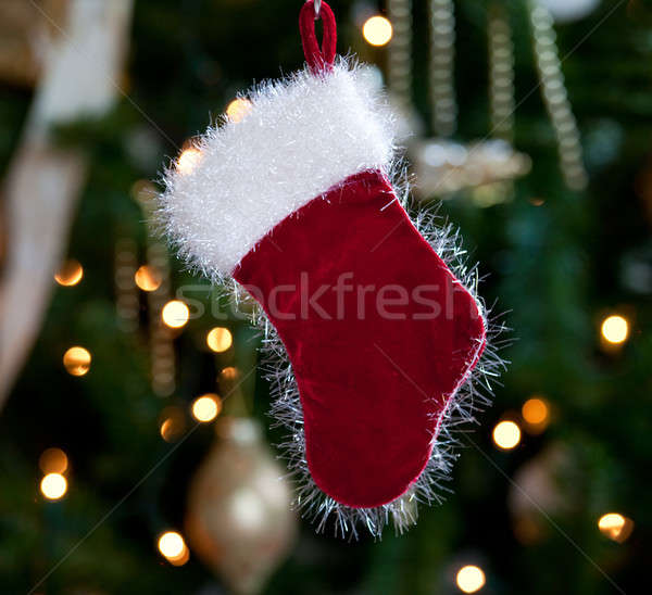 Fur lined stocking in front of xmas tree Stock photo © backyardproductions