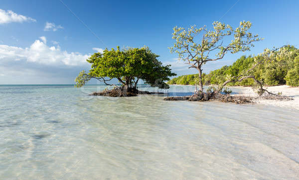 Stock fotó: Florida · kulcsok · tengerpart · útszéli · útvonal · égbolt