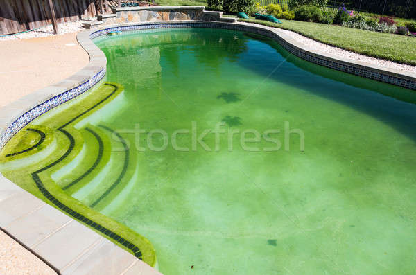 Foto stock: Imundo · quintal · piscina · de · volta · atrás