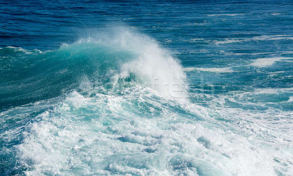 Frozen motion of large wave at sea Stock photo © backyardproductions