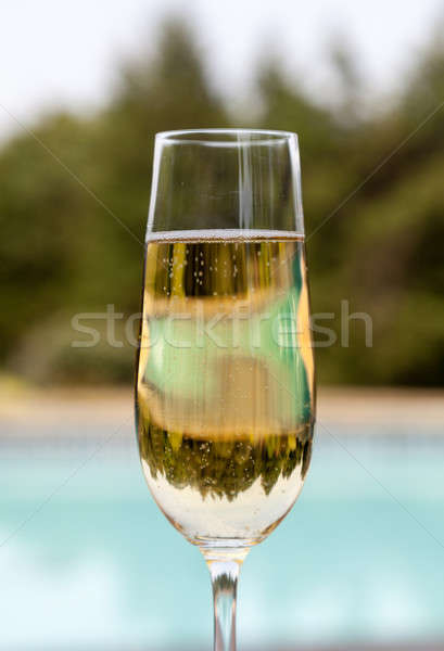 Flöte kalten Champagner Seite Pool eleganten Stock foto © backyardproductions
