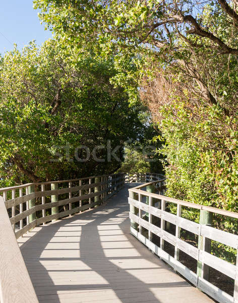 Florida Keys raised walkway  Stock photo © backyardproductions