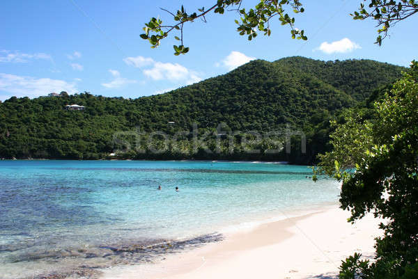海灘 加勒比的 島 天空 性質 景觀 商業照片 © backyardproductions