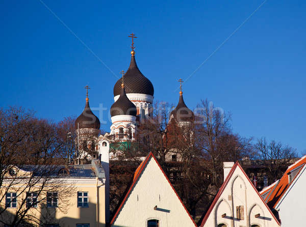 Alexander Nevsky Cathedral Stock photo © backyardproductions