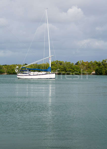Yachts moored in no name harbor florida Stock photo © backyardproductions