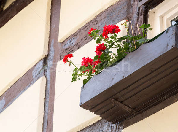 Red flowers in flowerbox under window Stock photo © backyardproductions