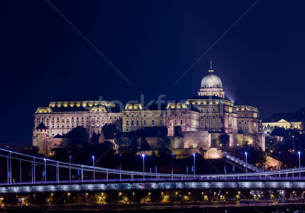 Buda Castle at night in Budapest Stock photo © backyardproductions