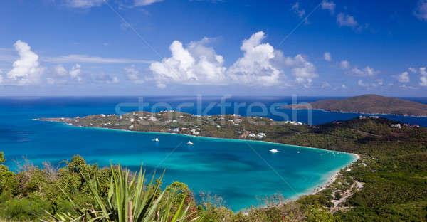 Magens Bay on St Thomas USVI Stock photo © backyardproductions