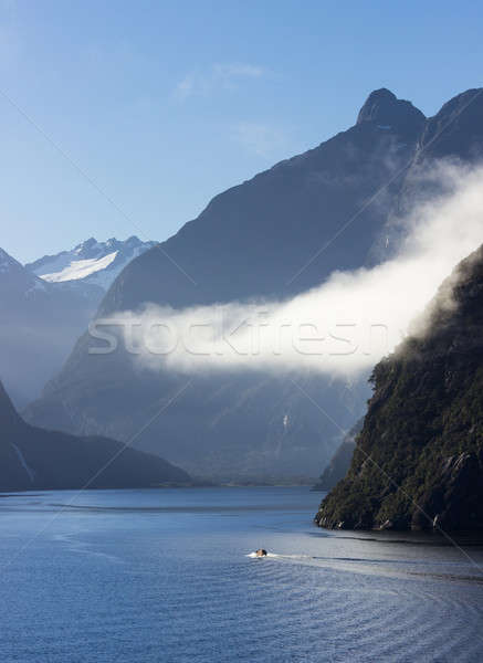 Fjord of Milford Sound in New Zealand Stock photo © backyardproductions