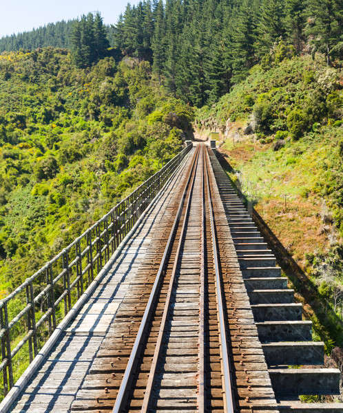Railway track up Taieri Gorge New Zealand Stock photo © backyardproductions