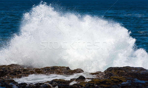 Raging sea flows over lave rocks on shore line Stock photo © backyardproductions