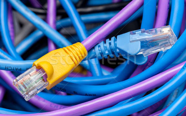 Stock photo: Cat 5 cables in multiple colors