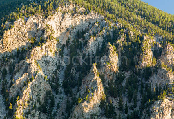 Kredy Colorado stromy biały Świt Zdjęcia stock © backyardproductions