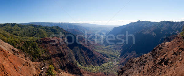 Waimea Canyon on Kauai Stock photo © backyardproductions