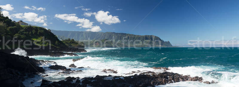 Waves hit rocks at Queens Bath Kauai Stock photo © backyardproductions