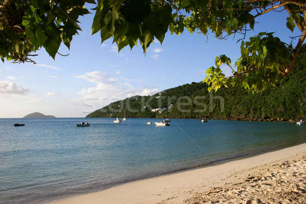 Beach and Bay on the Caribbean island of St John Stock photo © backyardproductions